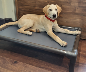 Kuranda Standard Dog Bed