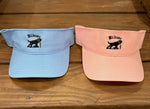 Visors