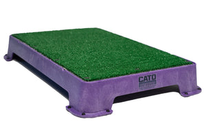 purple